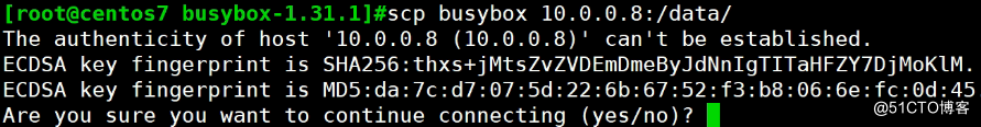 #yyds干货盘点#编译安装busybox_linux_05
