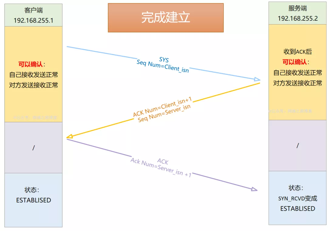 初识TCP，实验加抓包带你理解为什么需要三次握手、四次挥手_服务器_16