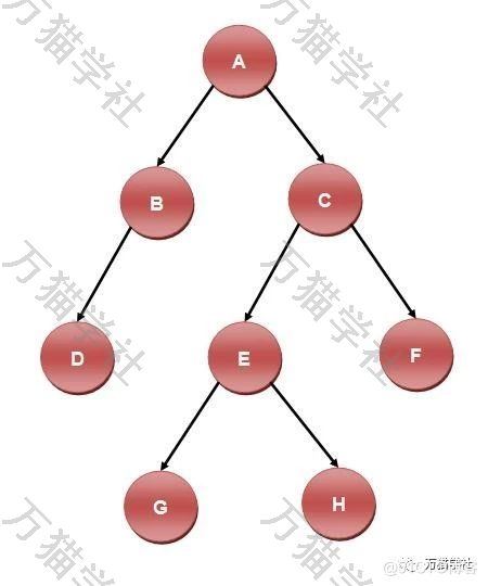 二叉树面试题：前中序求后序、中后序求前序_二叉树