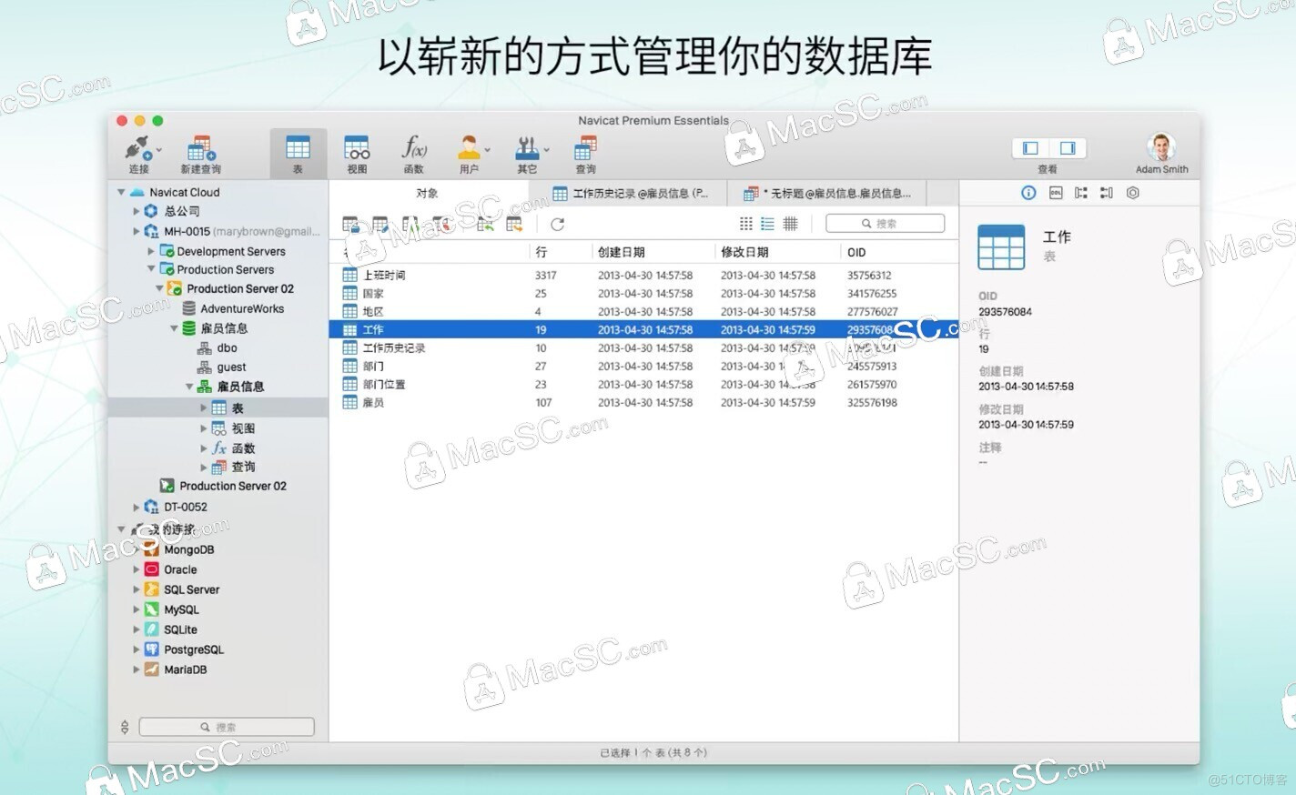 Navicat Premium 16 Mac(数据库管理软件)中文版_苹果mac_02