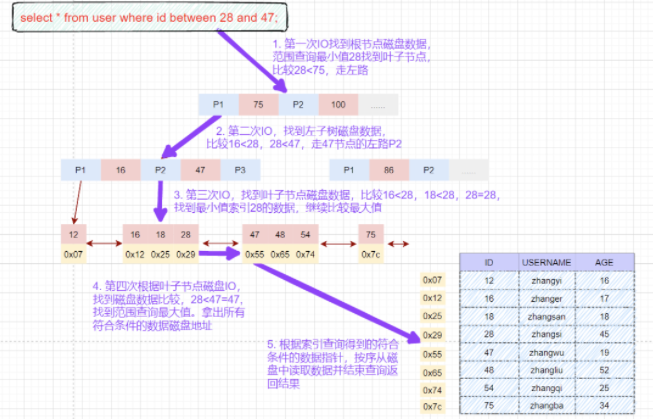 iPhone 老机型福音！iOS/iPad OS 14.8.1 发布 发布同时包含 iPad OS