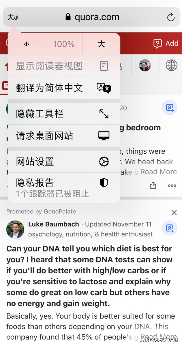 更新 iOS 14.2 之后，手机一夜之间可以翻译外文网站了