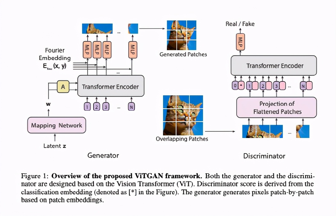 CV圈对决：谷歌提出ViTGAN，用视觉Transformer训练GAN