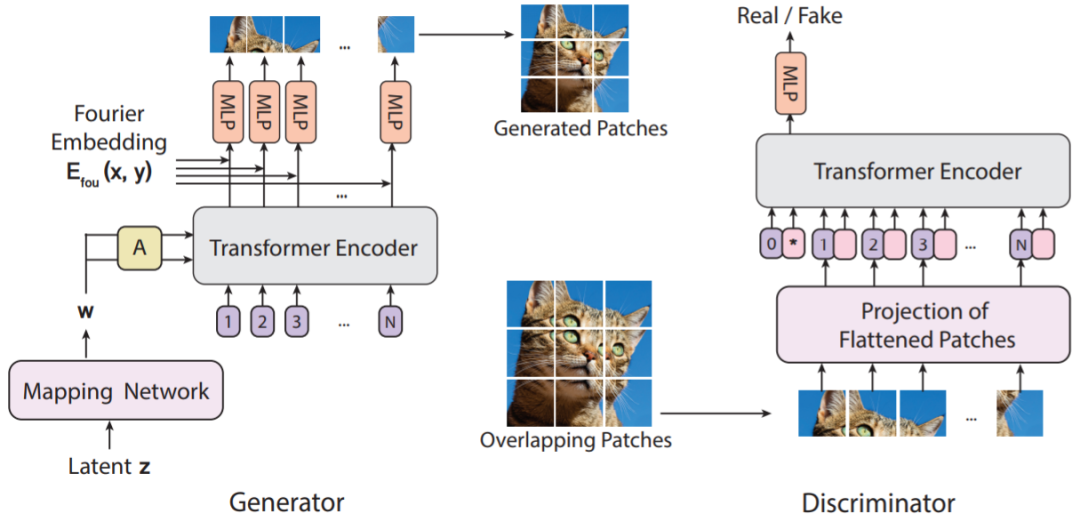 Transformer也能生成图像，新型ViTGAN性能比肩基于CNN的GAN