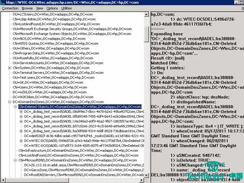 图3：删除的DNS对象