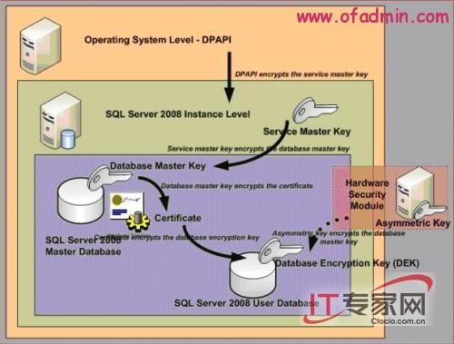 SQL Server数据库系统