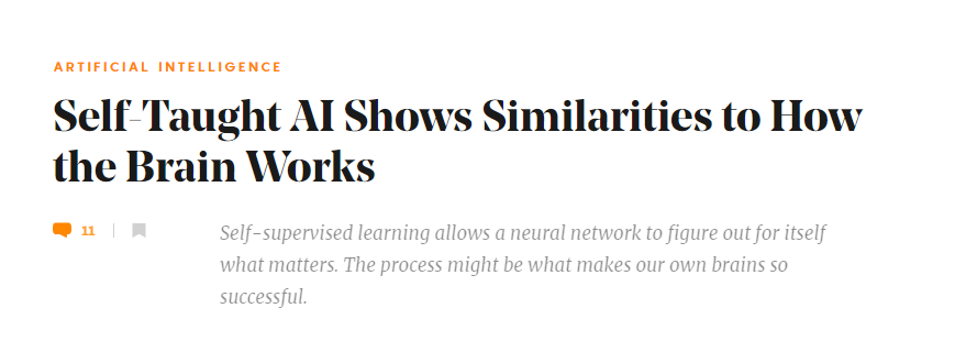 人脑90%都是自监督学习，AI大模型离模拟大脑还有多远？