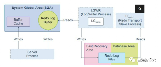 我们一起聊聊 Oracle 的Lgwr Worker