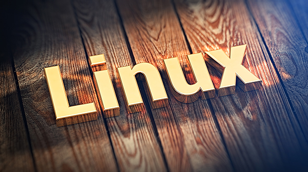 十种漂亮的 Linux 终端字体