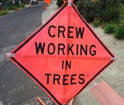 施工标志上写着工作人员在树上进行工作