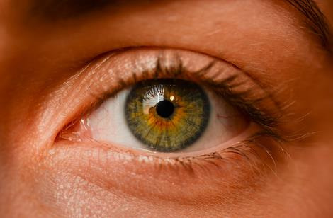 用双眼见证未来：以人工智能治疗年龄相关性黄斑变性