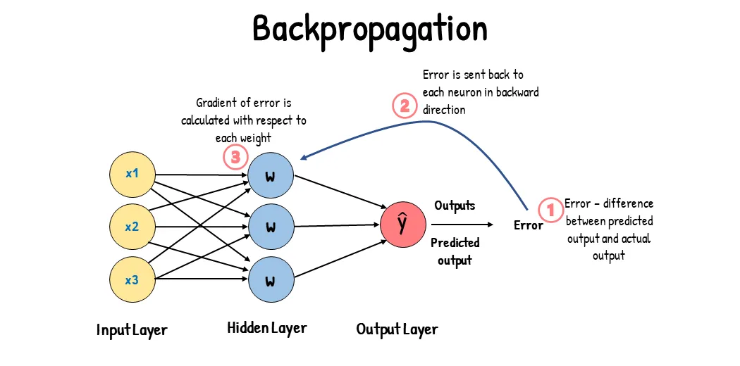 一文彻底搞懂深度学习 - 反向传播（Back Propagation）-AI.x社区