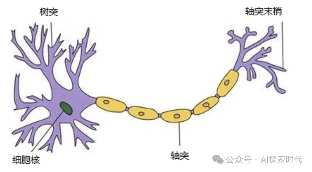 从一个简单的神经网络模型开始-AI.x社区