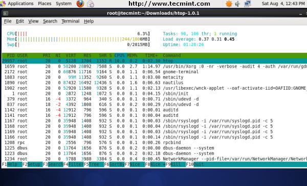 Htop Command Example